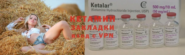 apvp Аркадак