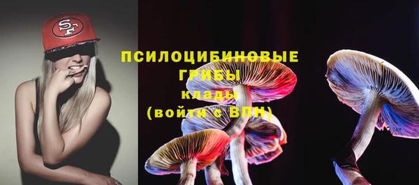 apvp Аркадак