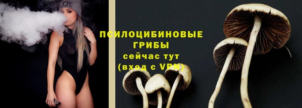 шишки Армянск