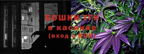 шишки Армянск