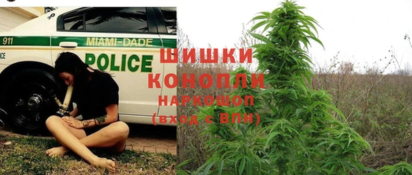 apvp Аркадак